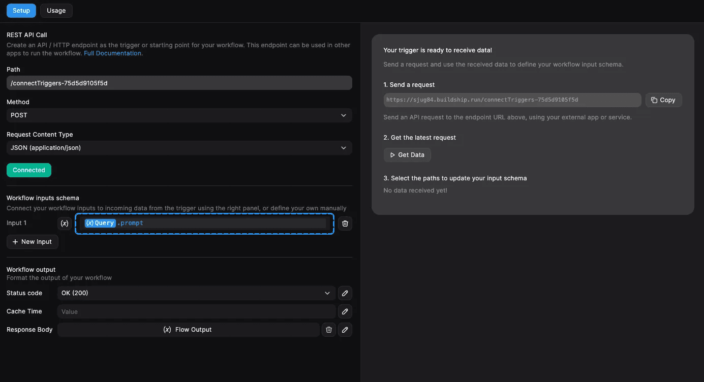 Trigger input schema